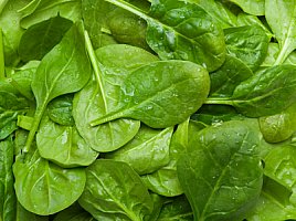 spinach leaves