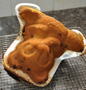 baked bear cake