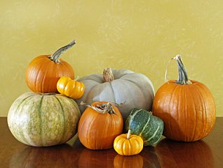 winter-squash-varieties
