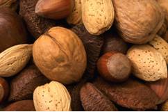 nut facts picture of mixed nuts, including walnut, almond,
hazelnuts, brazil nuts all in the shell
