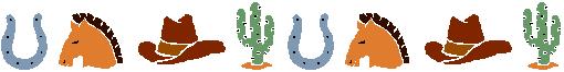 western banner