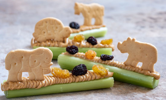Animal Theme Food Ideas for Kids