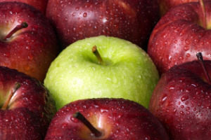 apple food facts page picture of red apples with green