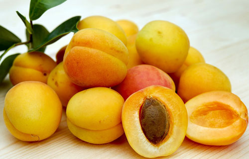 apricot facts picture of whole apricot and apricot cut in half
