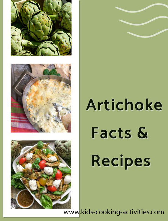 artichoke food facts picture of whole artichoke