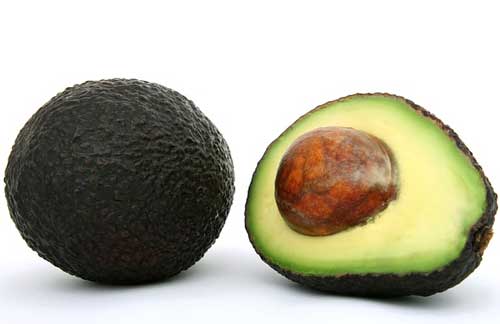 avocado food facts
