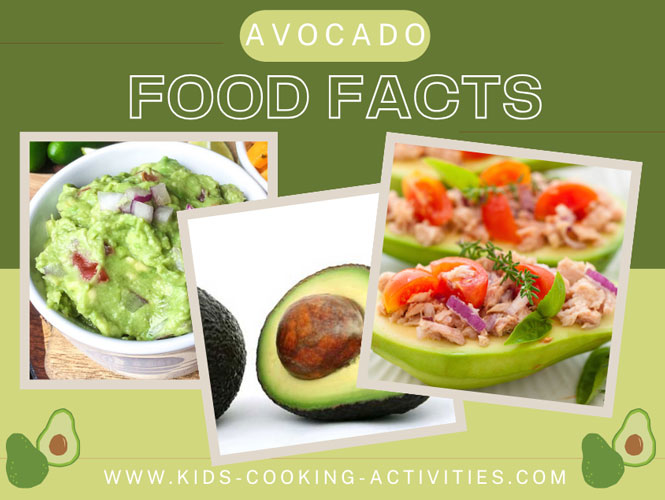avocado food facts