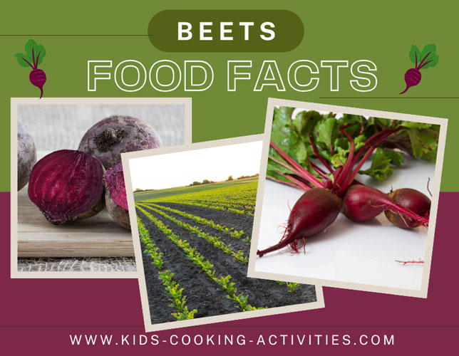 beet food facts photo of whole beet