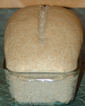 rising bread dough