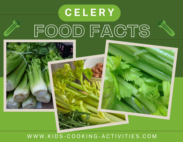 celery 