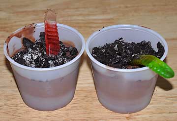 Dirt cups edible craft with gummy worms