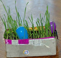 Easter grass box