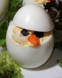 egg chick