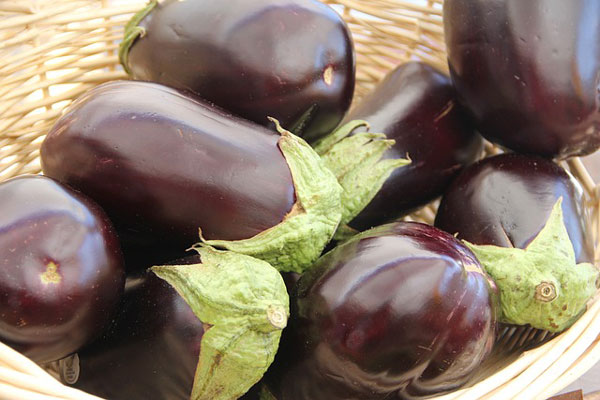 eggplant food facts picture of eggplant