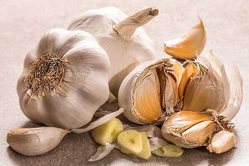garlic food facts photo of garlic bulb and garlic cloves