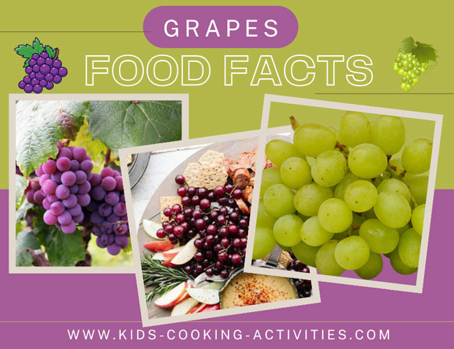 grapes facts