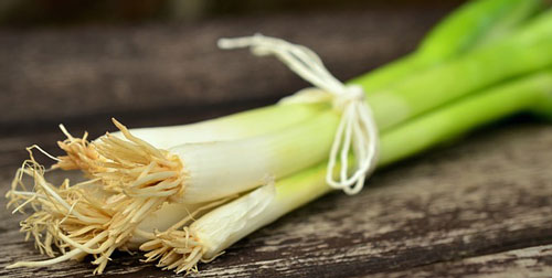onion food facts picture of green onions