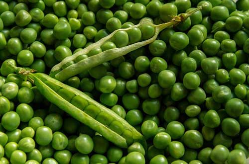 green peas in a pod for food facts