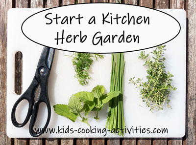 herb garden