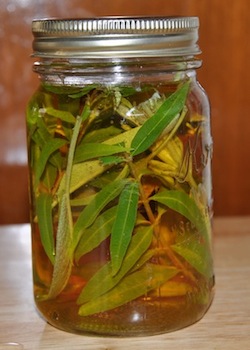herb vinegar