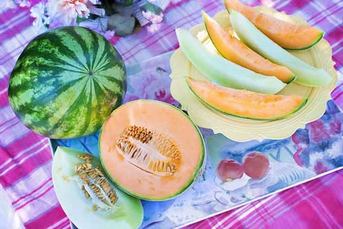 learning more facts about melons