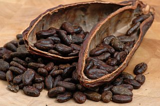 new roasted cocoa beans