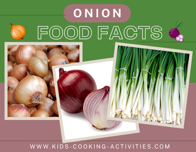 onion food facts picture of onions