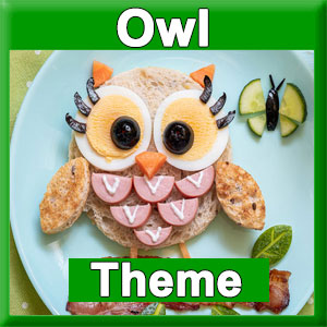 owl party theme