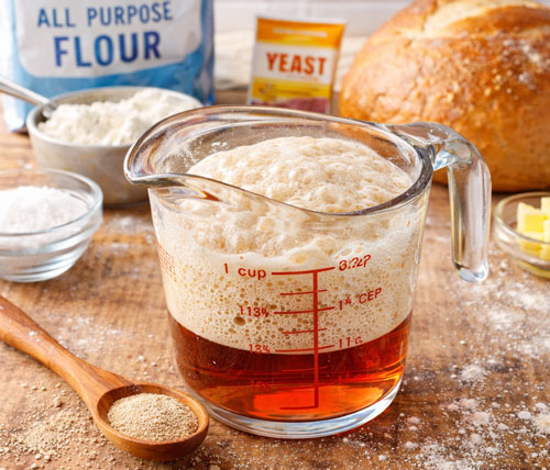 Yeast science experiment for kids