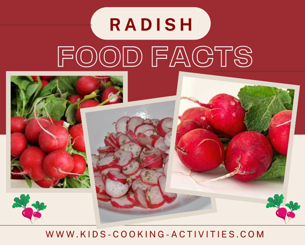 radish food facts, picture of a group of radishes