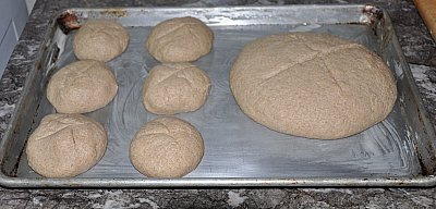 sourdough loaves