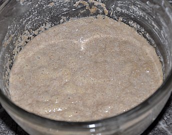 sourdough bubbly