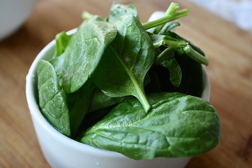fresh leaves