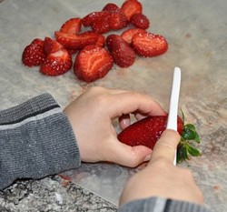 kids chopping strawberries