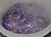 making red cabbage water