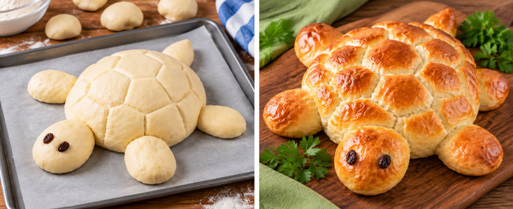 Homemade turtle-shaped bread