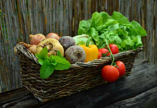 Vegetable recipes for kids-pxb