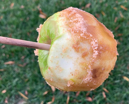 apple on stick