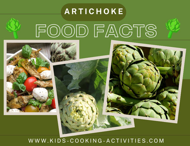 artichoke facts