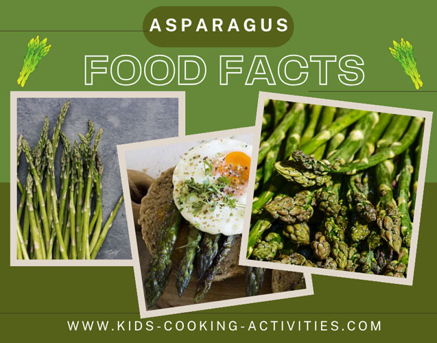 asparagus food facts picture of whole asparagus bundle