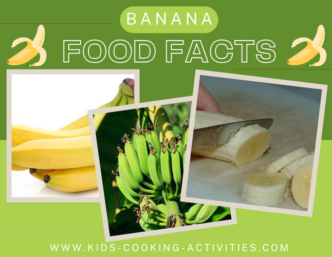 banana food facts photo of bunch of bananas
