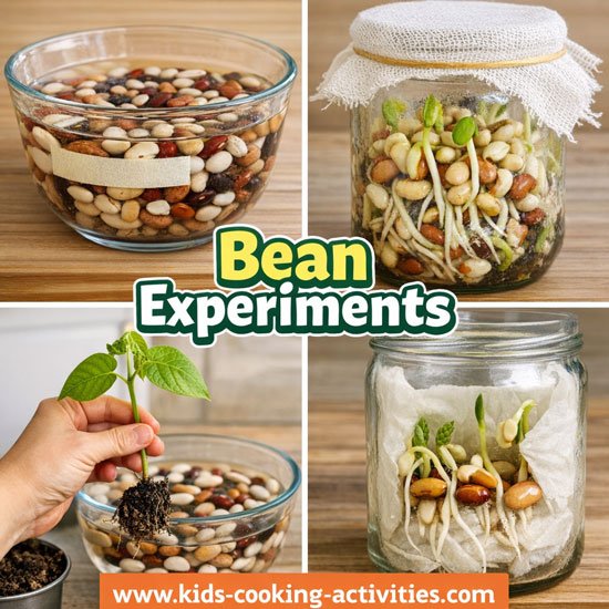 Bean science experiments