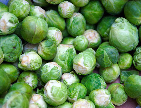 brussel sprouts food facts picture of vegetables brussels sprouts