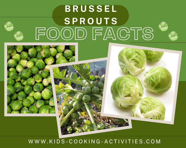 brussel sprouts food facts picture of vegetables brussels sprouts