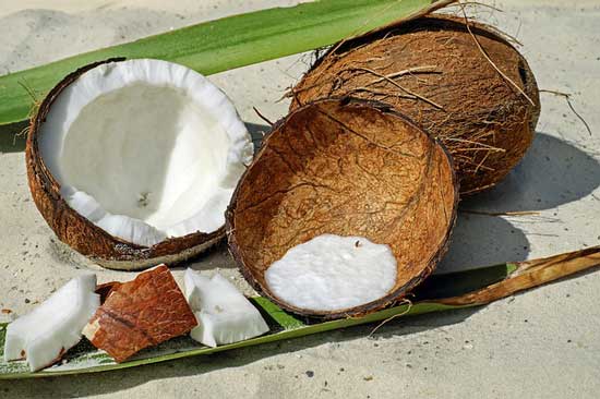 opened coconut