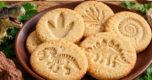 Fossil cookies