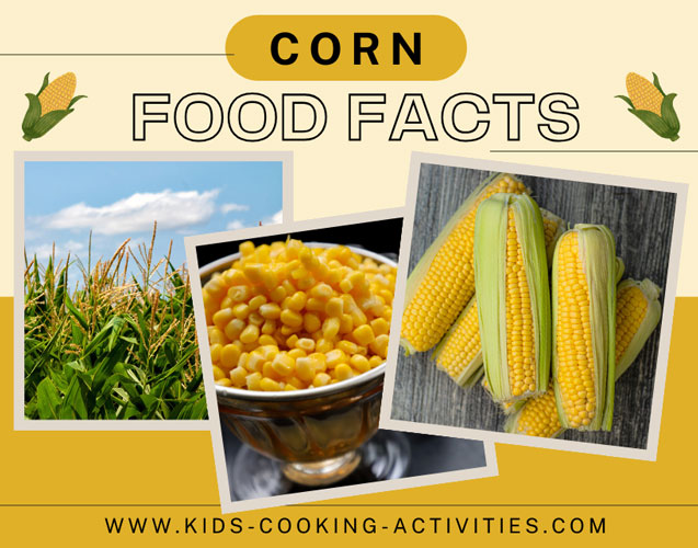cobs learning about food facts