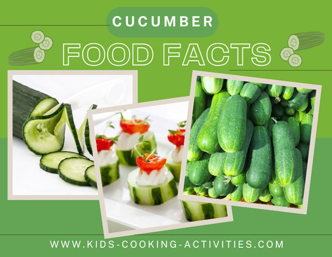 Cucumber food facts picture of a cucumber on the vine