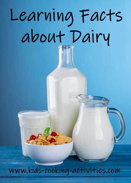 dairy products including cheese, milk carton