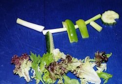 veggie skeleton